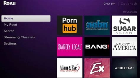 roku porn code|How to Watch Porn on Roku In 2024